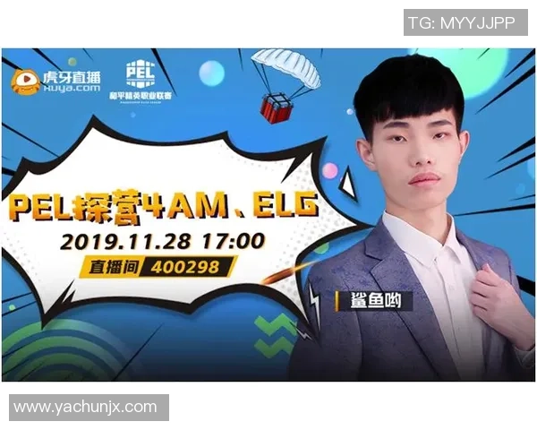 和平精英战术解析：深入剖析WE战队的防守策略与技巧